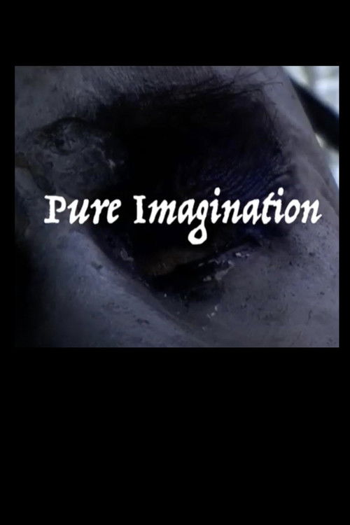 Pure Imagination poster
