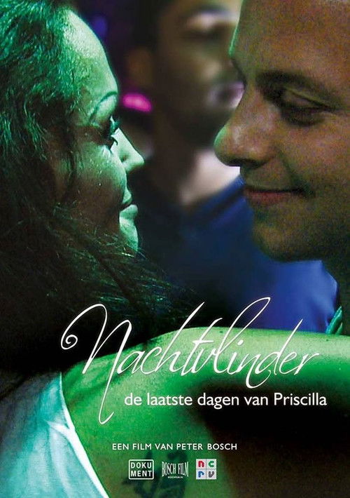 Nachtvlinder: De Laatste Dagen van Priscilla (2013) poster