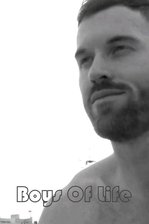 Boys of Life II (2016) poster