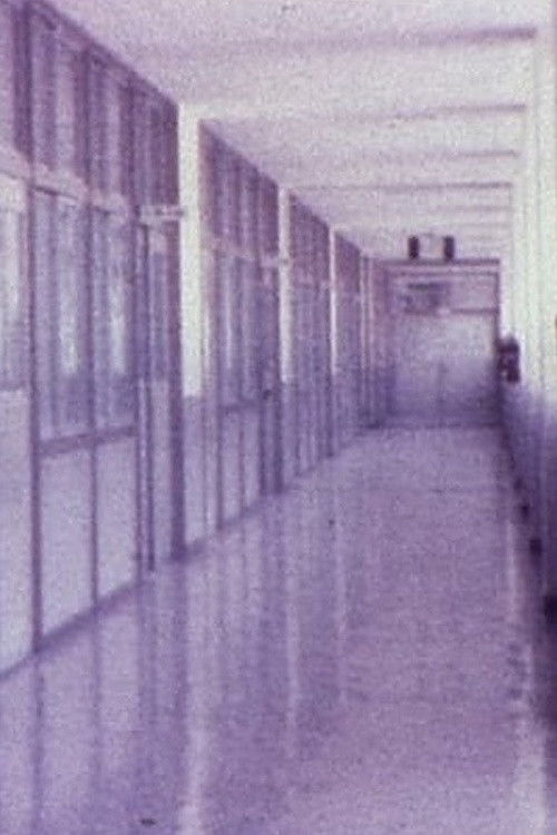 Sunset (1979) poster