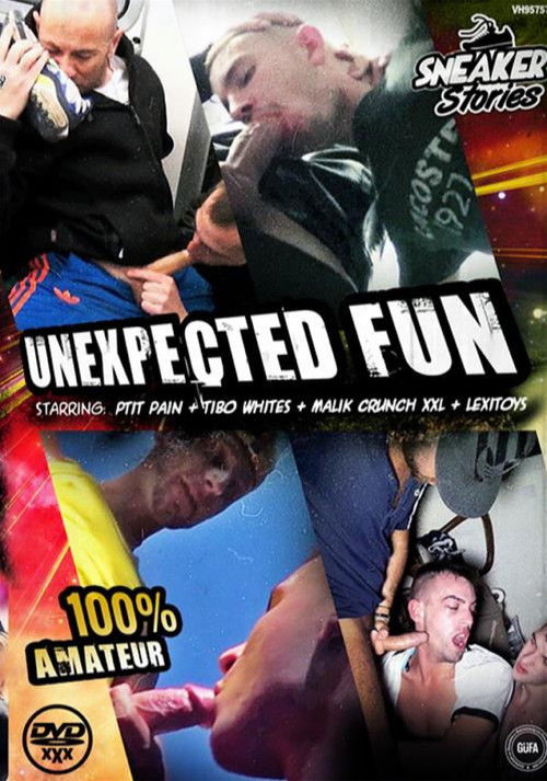 Unexpected Fun (2016) poster
