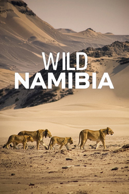 Namibia’s Desert Kingdom (2013) poster