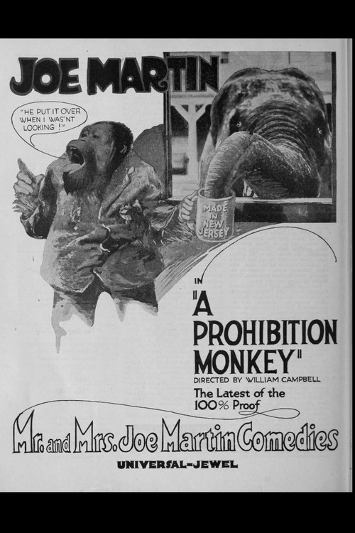 A Prohibition Monkey (1920) poster