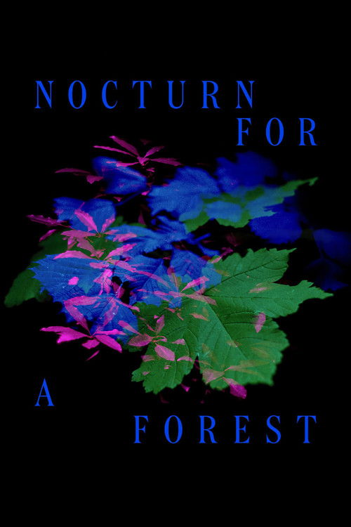Nocturno Para Uma Floresta (2023) poster