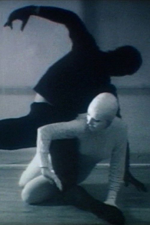 Rhythm of Two Figures (1969) poster