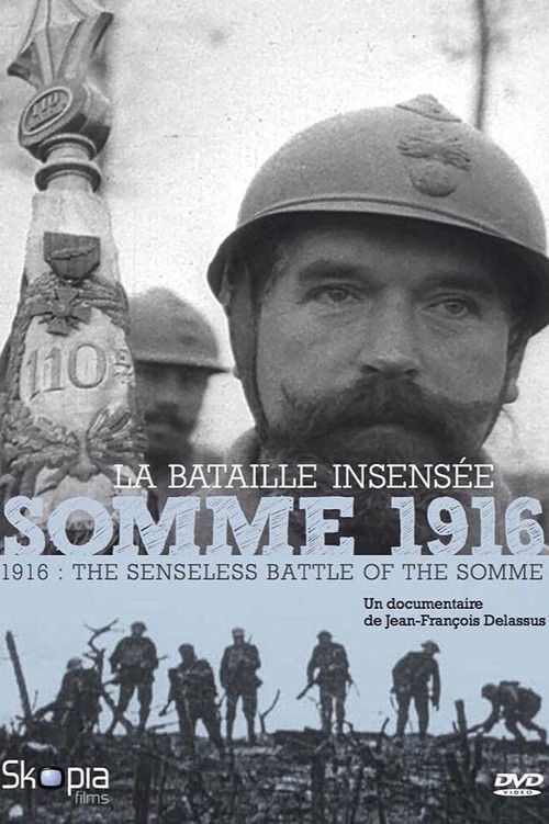 Somme 1916, la bataille insensée (2016) poster