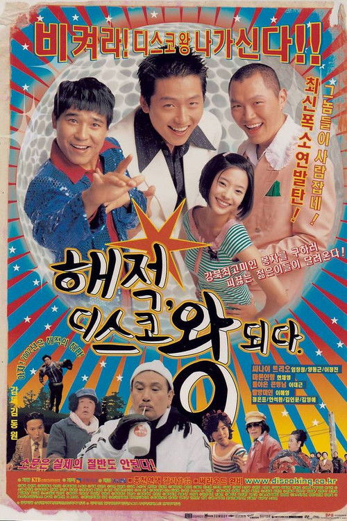 해적, 디스코왕 되다 (2002) poster