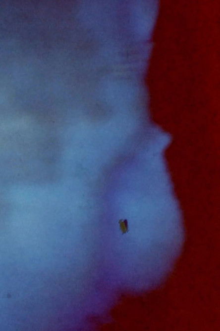 are you haunted, daddy ? (about anxiety) (2021) poster