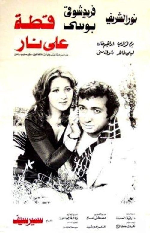 قطة على نار (1977) poster