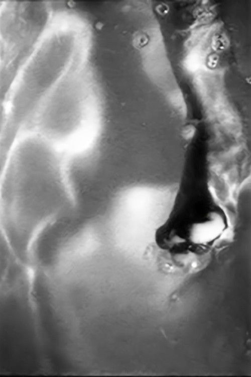 Apnae Water Skin (1995) poster