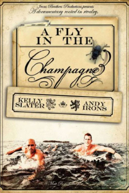 A Fly in the Champagne (2009) poster