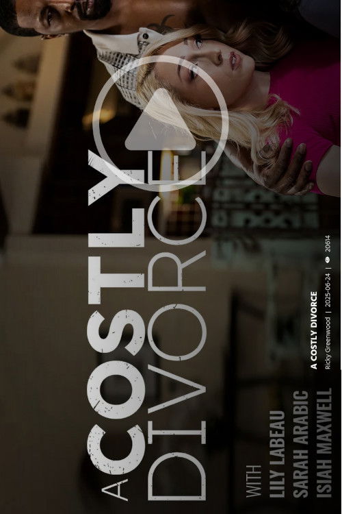 A Costly Divorce (2025) poster