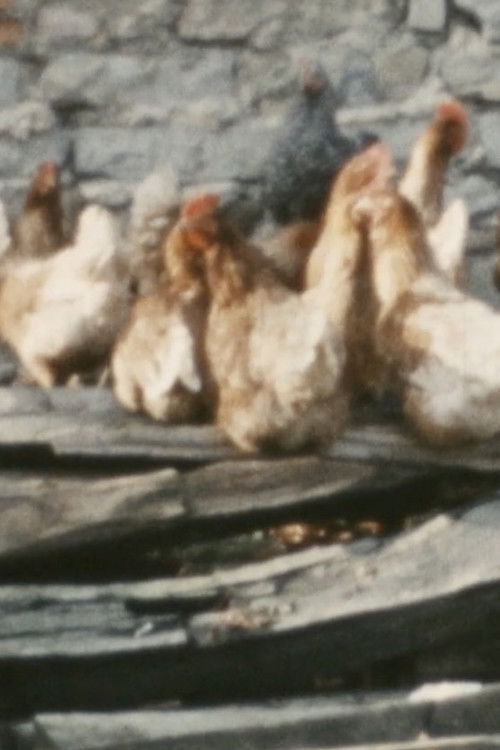 Oh Tod, wie nahrhaft bist Du (1973) poster