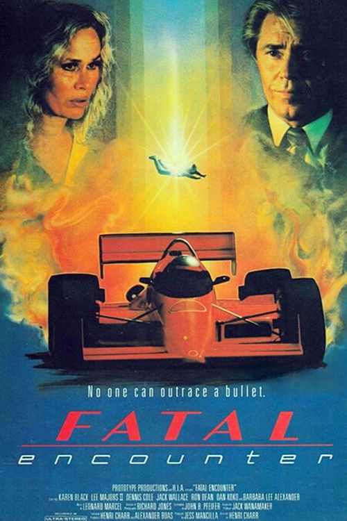 Fatal Encounter (1990) poster