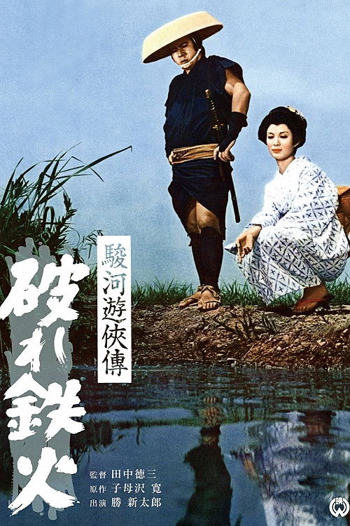 駿河遊侠傳 破れ鉄火 (1964) poster