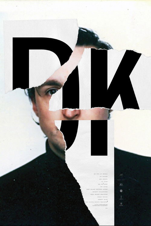 DK (2013) poster