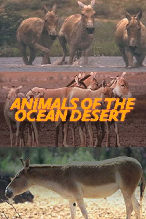 Animals of the Ocean Desert (2001) poster