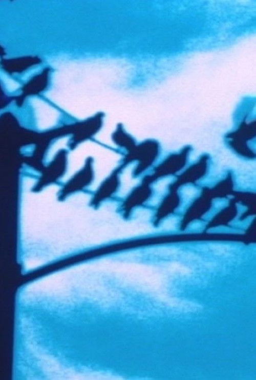 Faultlines (1998) poster