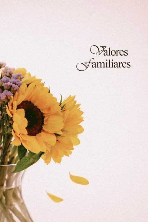 Valores Familiares (2026) poster
