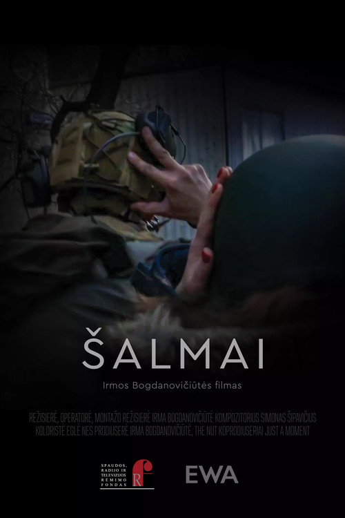 Šalmai (2024) poster