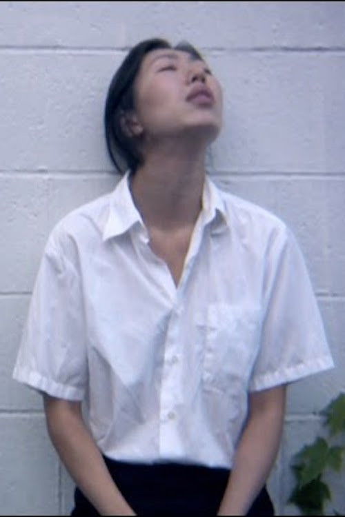 Beijing Haze (2008) poster