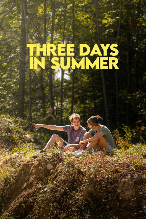 Three Days in Summer poster