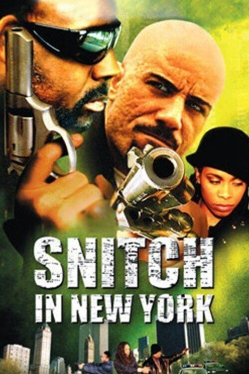 Snitch in New York (2002) poster