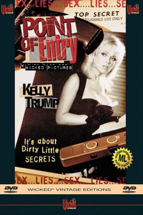 Point of Entry (1996) poster