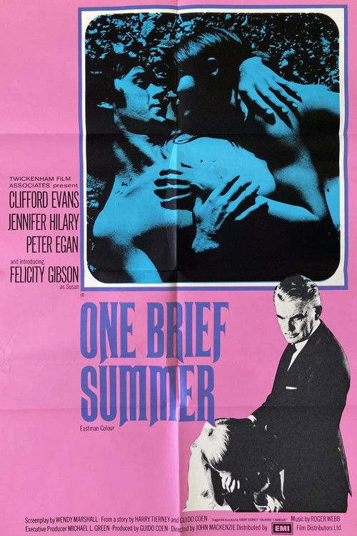 One Brief Summer (1971) poster
