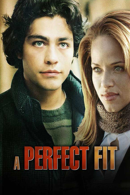 A Perfect Fit (2005) poster