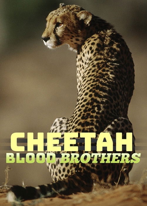 Cheetah Blood Brothers (2007) poster
