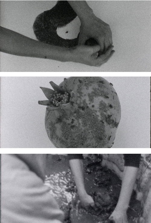 throwtheground (2021) poster