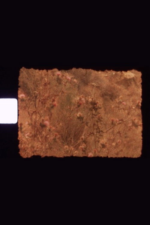 (re)garde-moi poster