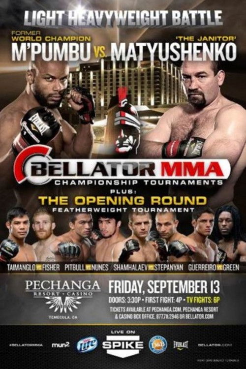Bellator 99 (2013) poster