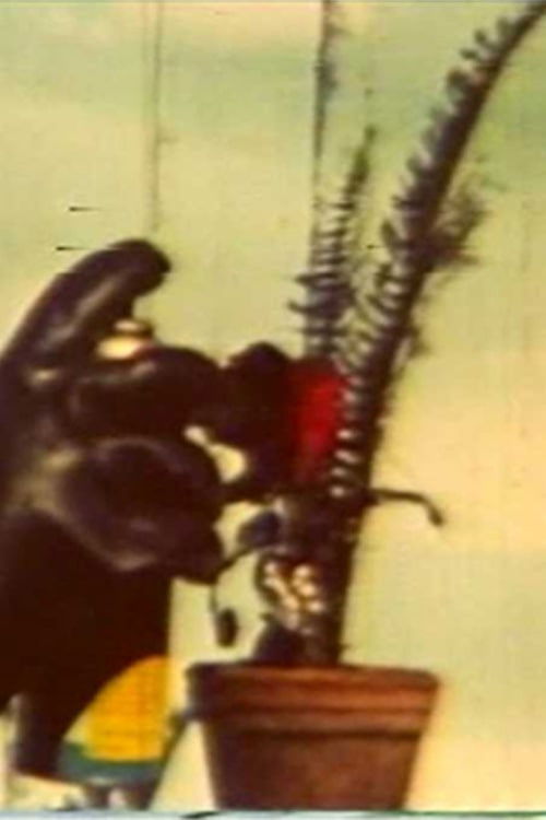 Matinée 3:15 (1976) poster