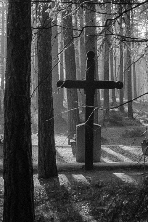 Piasnica Forest (1990) poster