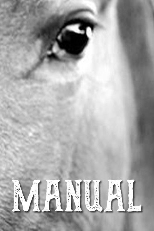 Manual (2016) poster