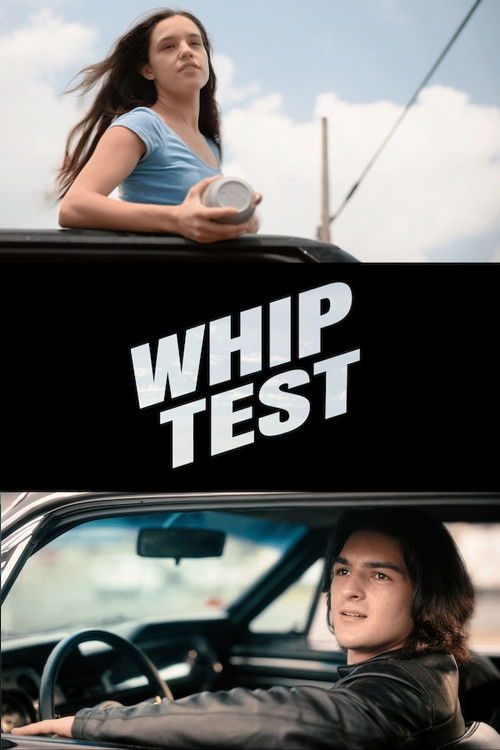 Whip Test (2024) poster