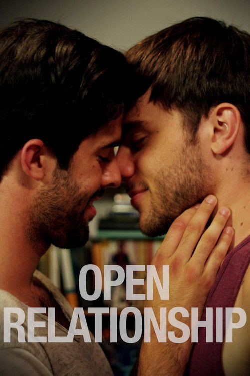 Open Relationship (2014) poster