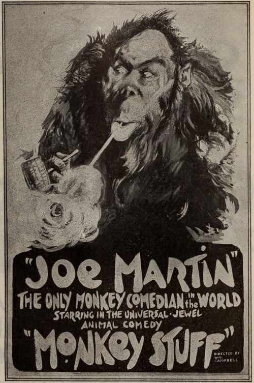 Monkey Stuff (1919) poster