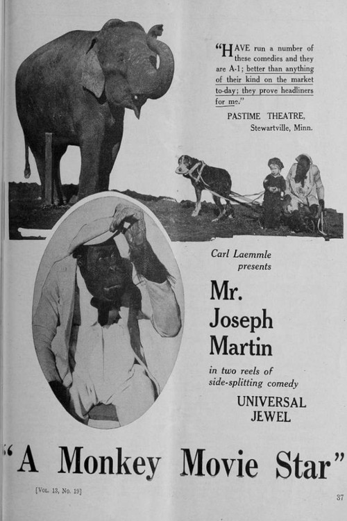 A Monkey Movie Star (1921) poster
