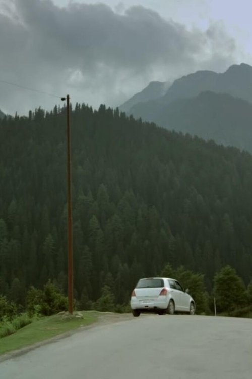 The Guest (2016) poster