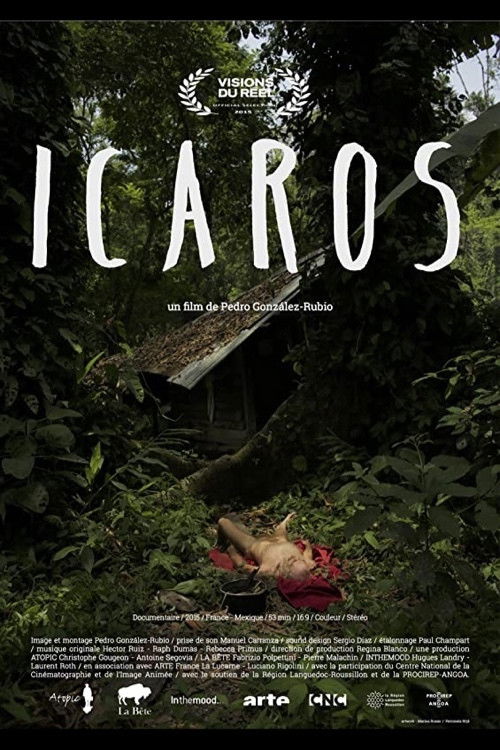 Ícaros (2014) poster