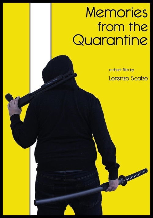 Memories from the Quarantine (2020) poster