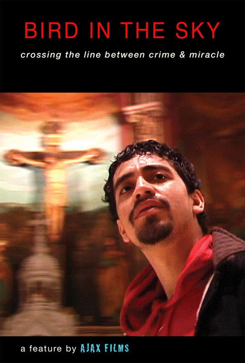 BIRD IN THE SKY (2005) poster