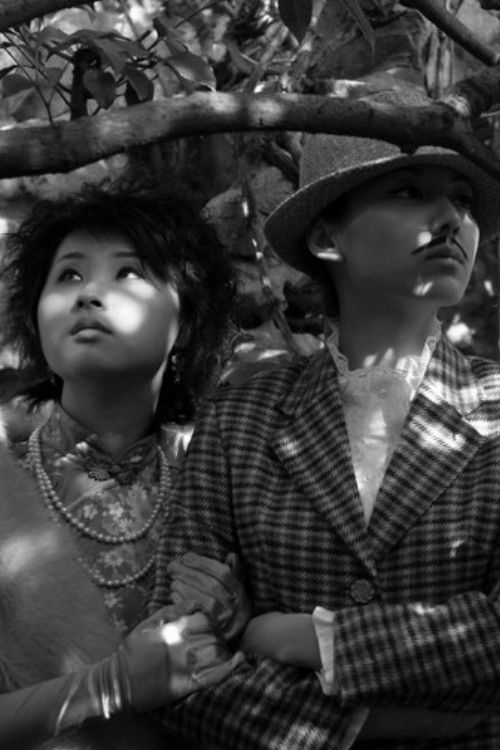 No Snow on the Broken Bridge (2006) poster