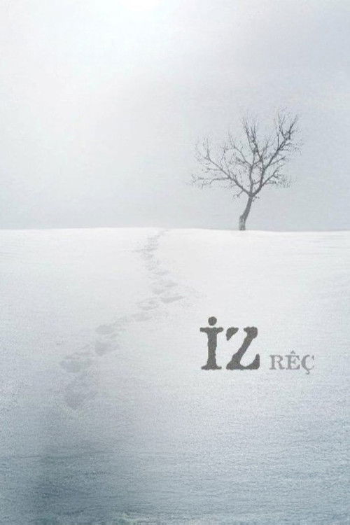 The Trace (2011) poster