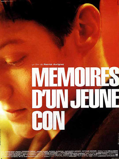 Mémoires d'un jeune con (1996) poster