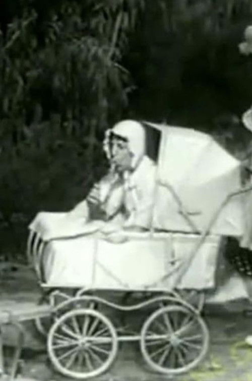 The Two Foxes (1963) poster