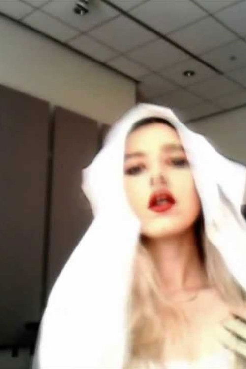 BRIDAL SHOWER (2013) poster